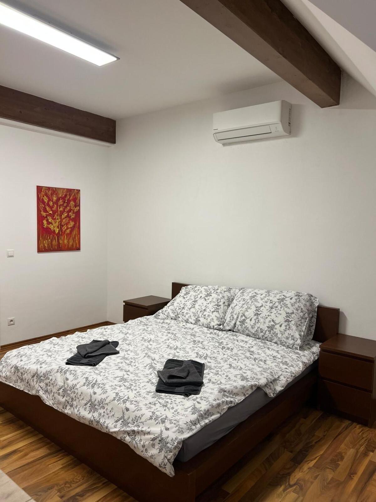 Loft With Terrace Apartment *